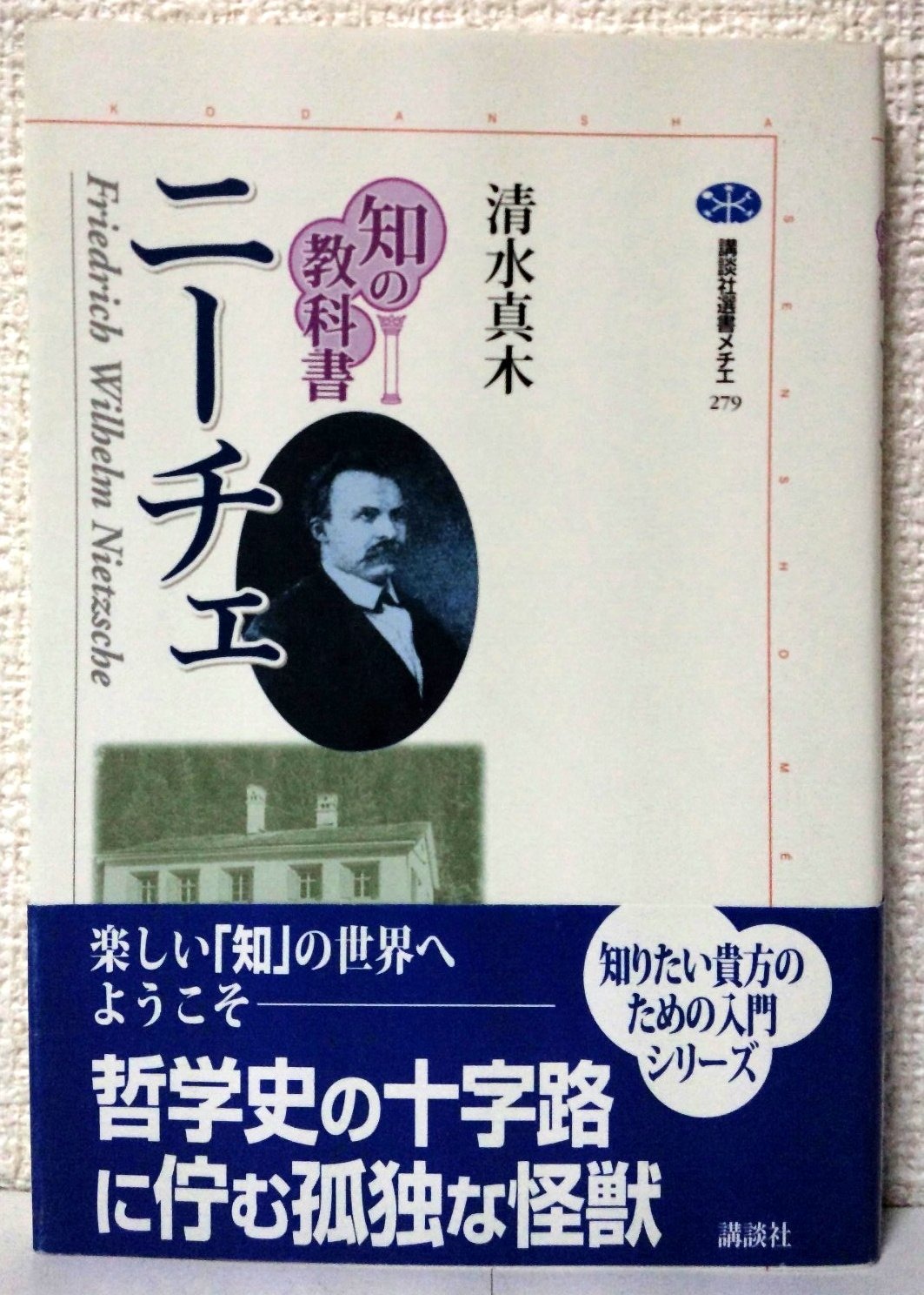 ニーチェ（講談社選書メチエ279）